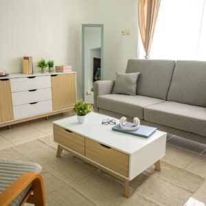Elegant Ease: Living Room in Balance