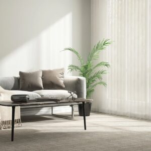 Gray modern sofa, plant, coffee table on carpet floor by white vertical blinds window in minimal living room in sunlight on wall for luxury interior design decoration, product background 3D