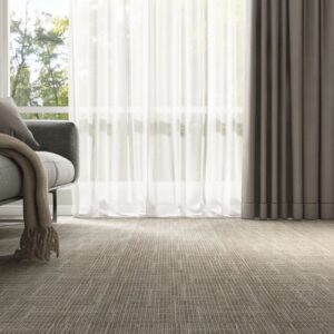 Gray modern sofa on carpet floor by white sheer, brown blackout curtain window in minimal living room in sunlight on wall for luxury interior design decoration, product background 3D