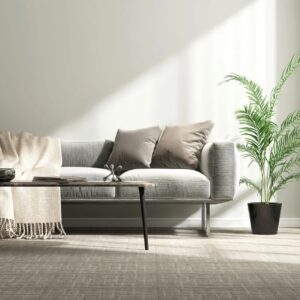 Gray modern sofa, plant, coffee table on carpet floor by white vertical blinds window in minimal living room in sunlight on wall for luxury interior design decoration, product background 3D